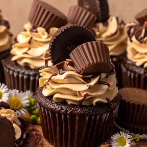 Chocolate Peanut Butter Cupcakes